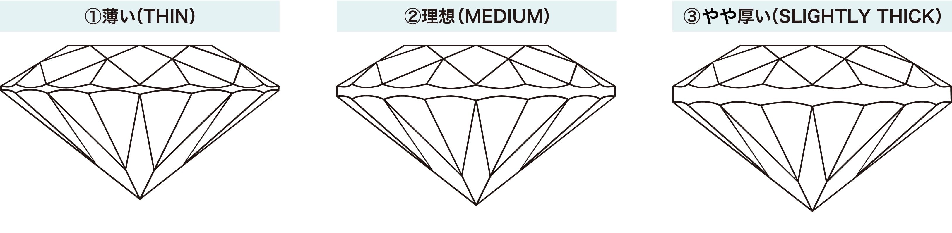 薄い・理想・やや厚いを表したガードルのイラスト
