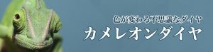 カメレオンダイヤとは？特徴について詳しく解説！