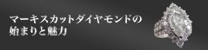 マーキスカットダイヤモンドの始まりと魅力