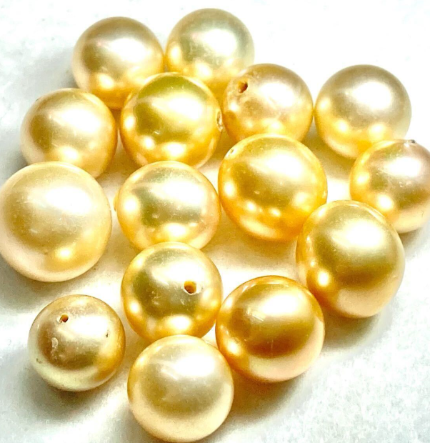 《ジャムルK》GY11-41　九谷焼　名工　作家　浅蔵五十吉　青九谷絵変　交盃　酒盃　盃　ぐい呑　酒器　お猪口　共箱 約 ７ 分山！! 売り切り！！  １９５／５５Ｒ１６ ダンロップ