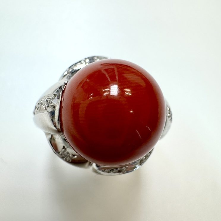 サンゴ　16.5ct　リング
